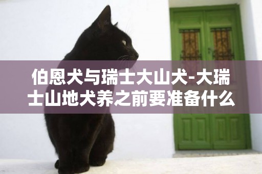 伯恩犬與瑞士大山犬-大瑞士山地犬養之前要準備什么
