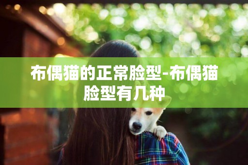 布偶貓的正常臉型-布偶貓臉型有幾種