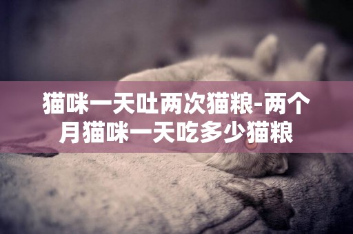 貓咪一天吐兩次貓糧-兩個月貓咪一天吃多少貓糧