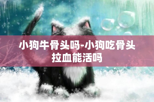 小狗牛骨頭嗎-小狗吃骨頭拉血能活嗎