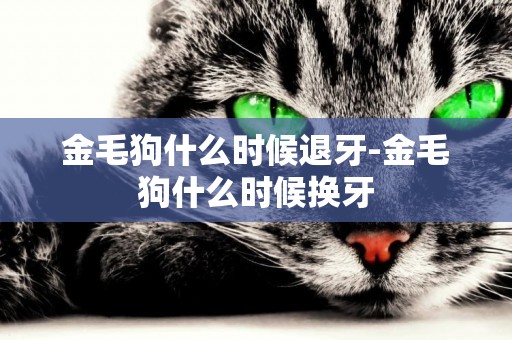 金毛狗什么時候退牙-金毛狗什么時候換牙