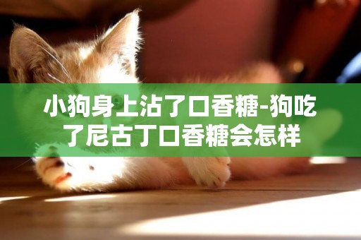 小狗身上沾了口香糖-狗吃了尼古丁口香糖會怎樣