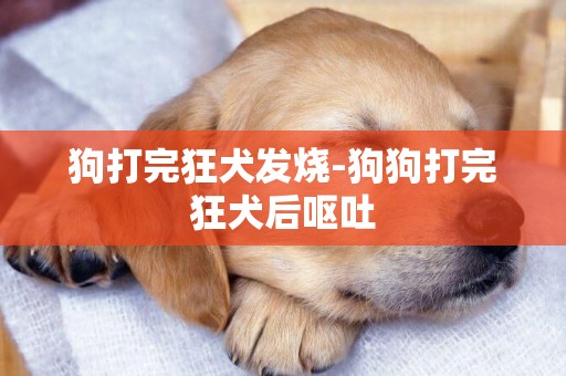 狗打完狂犬發燒-狗狗打完狂犬后嘔吐