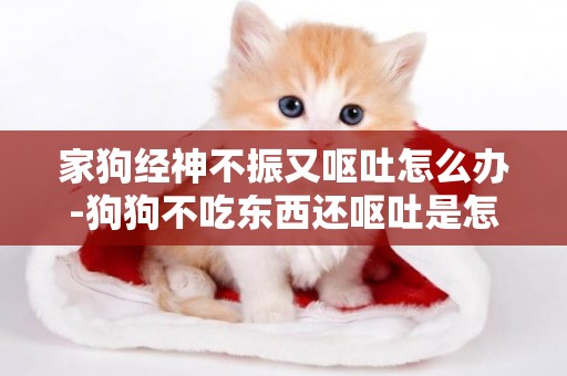 家狗經神不振又嘔吐怎么辦-狗狗不吃東西還嘔吐是怎么回事
