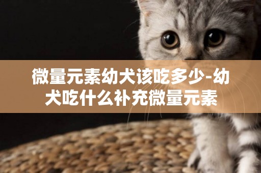 微量元素幼犬該吃多少-幼犬吃什么補充微量元素