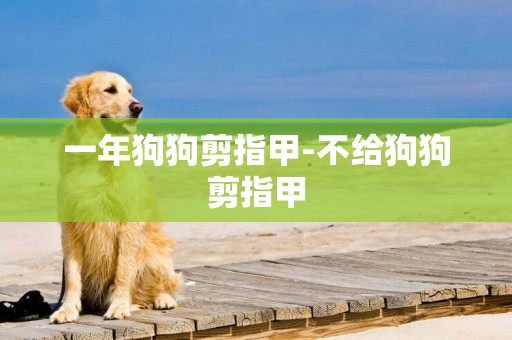 一年狗狗剪指甲-不給狗狗剪指甲