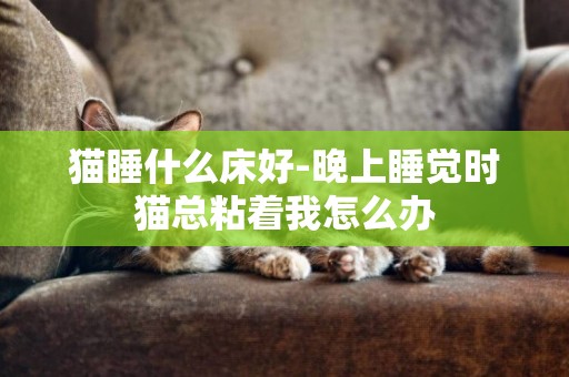 貓睡什么床好-晚上睡覺時貓總粘著我怎么辦