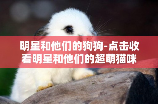 明星和他們的狗狗-點擊收看明星和他們的超萌貓咪