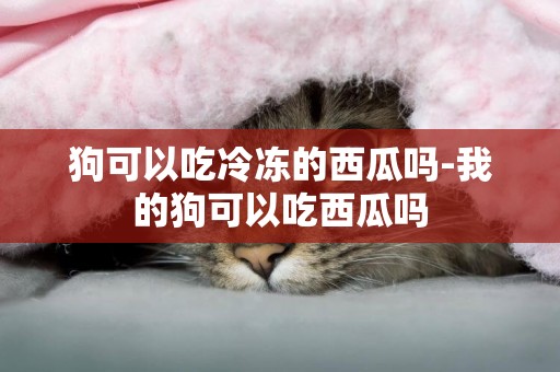 狗可以吃冷凍的西瓜嗎-我的狗可以吃西瓜嗎