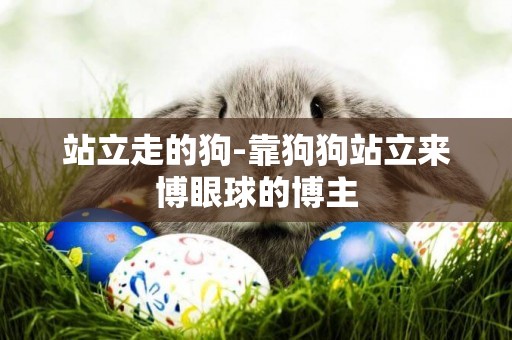 站立走的狗-靠狗狗站立來博眼球的博主