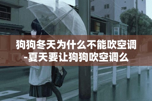 狗狗冬天為什么不能吹空調-夏天要讓狗狗吹空調么