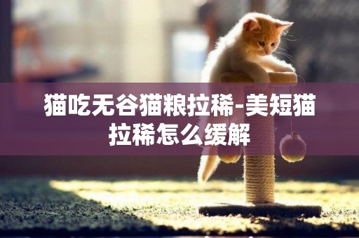 貓吃無谷貓糧拉稀-美短貓拉稀怎么緩解
