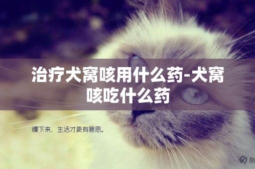 治療犬窩咳用什么藥-犬窩咳吃什么藥
