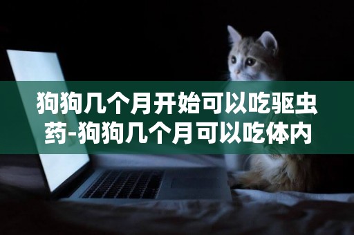狗狗幾個月開始可以吃驅蟲藥-狗狗幾個月可以吃體內驅蟲藥