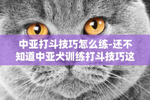 中亞打斗技巧怎么練-還不知道中亞犬訓練打斗技巧這篇文章告訴你