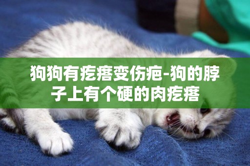 狗狗有疙瘩變傷疤-狗的脖子上有個硬的肉疙瘩