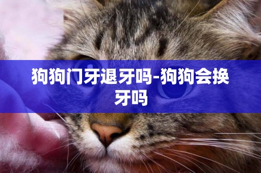 狗狗門牙退牙嗎-狗狗會換牙嗎
