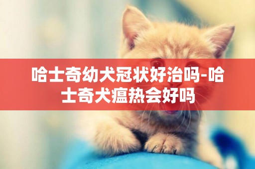 哈士奇幼犬冠狀好治嗎-哈士奇犬瘟熱會好嗎