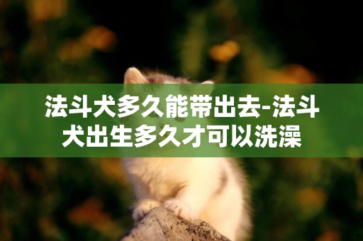 法斗犬多久能帶出去-法斗犬出生多久才可以洗澡