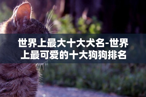 世界上最大十大犬名-世界上最可愛的十大狗狗排名