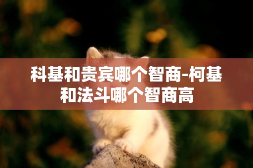 科基和貴賓哪個智商-柯基和法斗哪個智商高