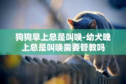 狗狗早上總是叫喚-幼犬晚上總是叫喚需要管教嗎