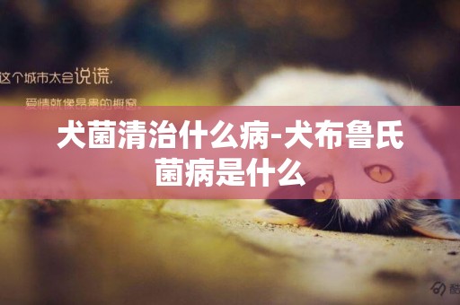 犬菌清治什么病-犬布魯氏菌病是什么