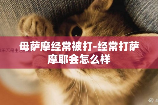 母薩摩經常被打-經常打薩摩耶會怎么樣