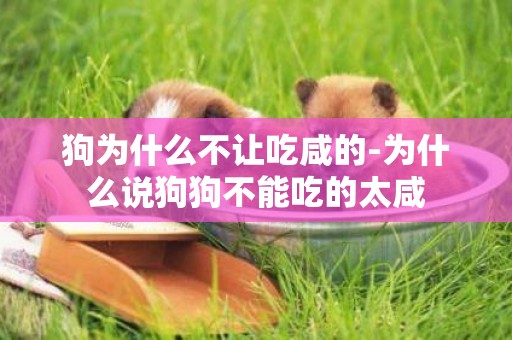 狗為什么不讓吃咸的-為什么說狗狗不能吃的太咸