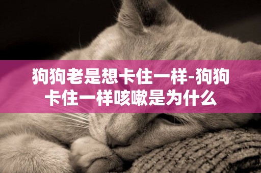 狗狗老是想卡住一樣-狗狗卡住一樣咳嗽是為什么