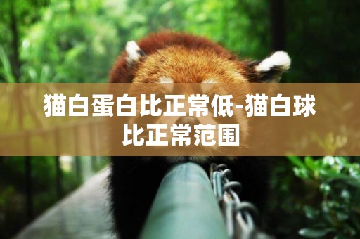 貓白蛋白比正常低-貓白球比正常范圍