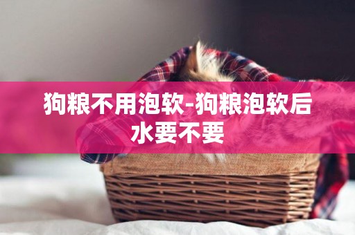 狗糧不用泡軟-狗糧泡軟后水要不要
