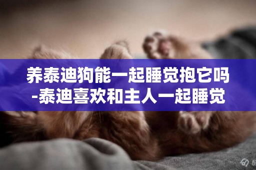 養泰迪狗能一起睡覺抱它嗎-泰迪喜歡和主人一起睡覺的5大原因