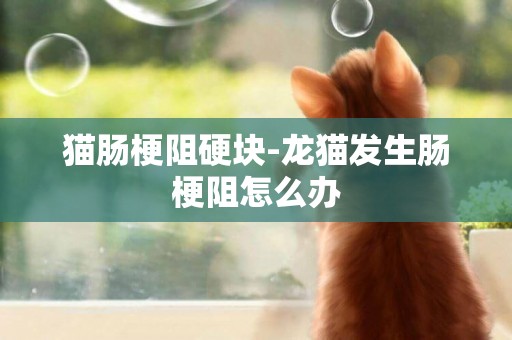 貓腸梗阻硬塊-龍貓發生腸梗阻怎么辦