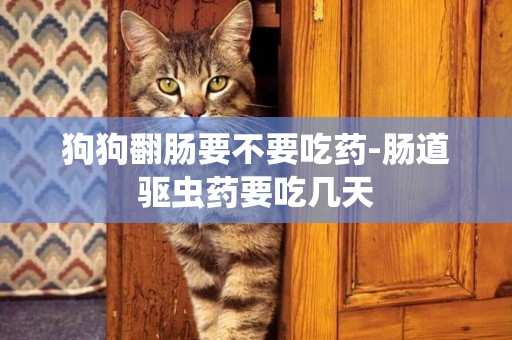 狗狗翻腸要不要吃藥-腸道驅蟲藥要吃幾天