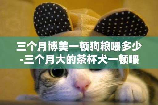 三個月博美一頓狗糧喂多少-三個月大的茶杯犬一頓喂多少狗糧合適