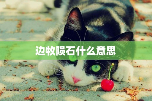 邊牧隕石什么意思