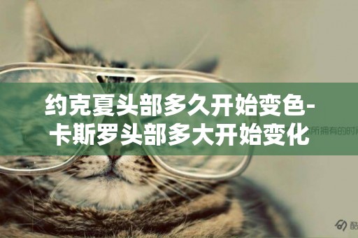 約克夏頭部多久開始變色-卡斯羅頭部多大開始變化