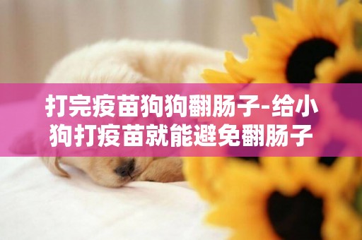 打完疫苗狗狗翻腸子-給小狗打疫苗就能避免翻腸子