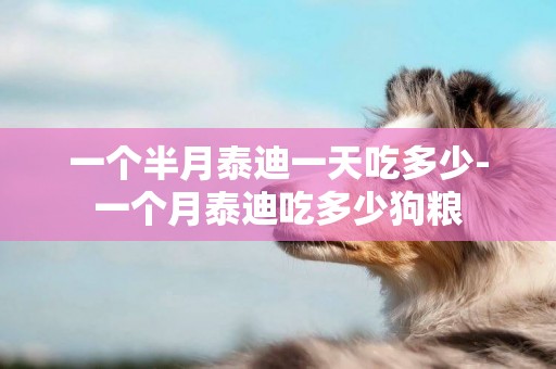 一個半月泰迪一天吃多少-一個月泰迪吃多少狗糧