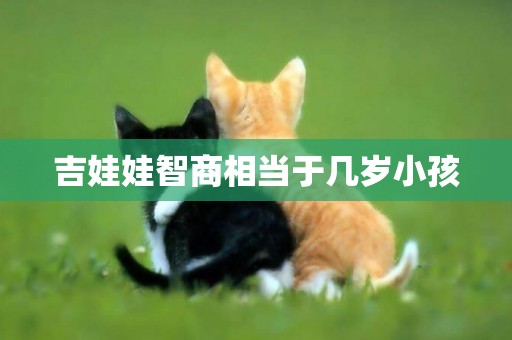 吉娃娃智商相當于幾歲小孩