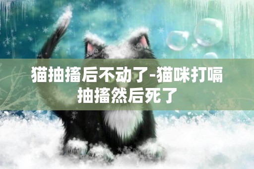貓抽搐后不動了-貓咪打嗝抽搐然后死了
