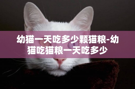 幼貓一天吃多少顆貓糧-幼貓吃貓糧一天吃多少