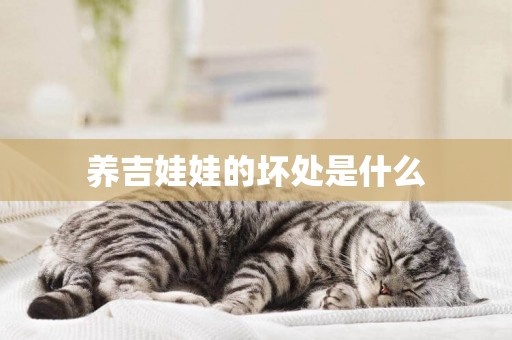 養吉娃娃的壞處是什么