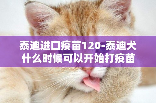 泰迪進口疫苗120-泰迪犬什么時候可以開始打疫苗