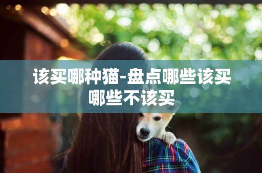 該買哪種貓-盤點哪些該買哪些不該買
