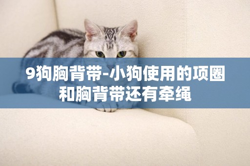 9狗胸背帶-小狗使用的項圈和胸背帶還有牽繩