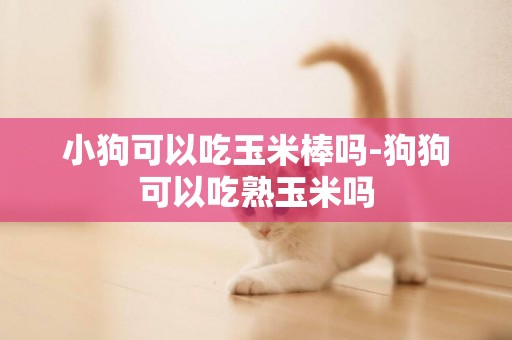 小狗可以吃玉米棒嗎-狗狗可以吃熟玉米嗎