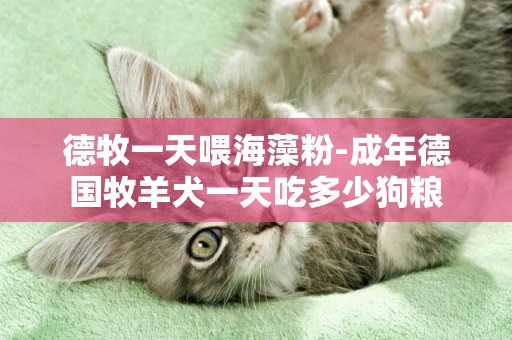 德牧一天喂海藻粉-成年德國牧羊犬一天吃多少狗糧