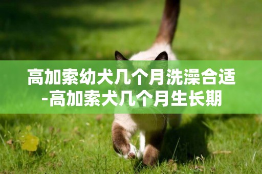高加索幼犬幾個月洗澡合適-高加索犬幾個月生長期